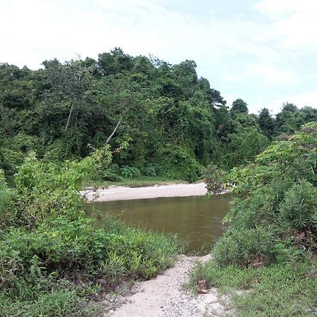 Cabana Wiwa Tayrona لوس نارانخوس المظهر الخارجي الصورة