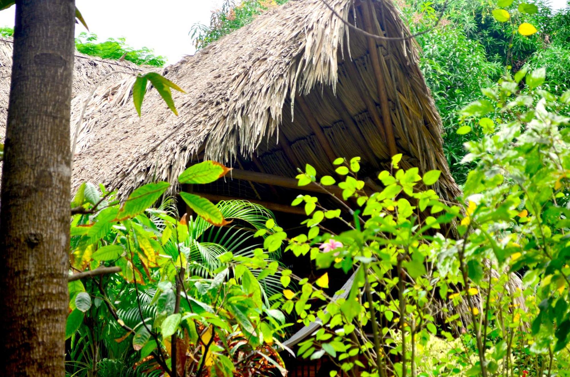 Cabana Wiwa Tayrona لوس نارانخوس المظهر الخارجي الصورة