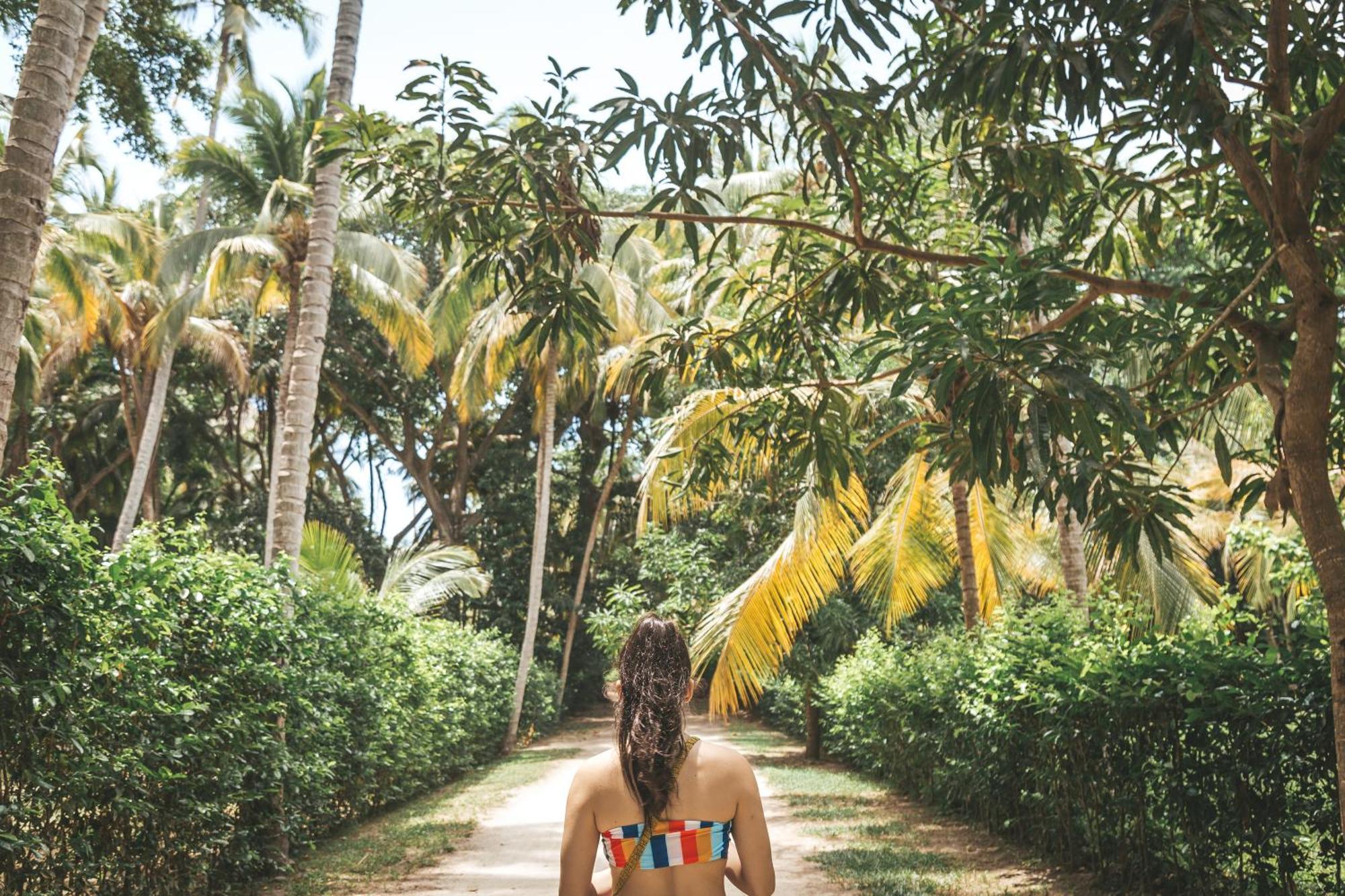 Cabana Wiwa Tayrona لوس نارانخوس المظهر الخارجي الصورة