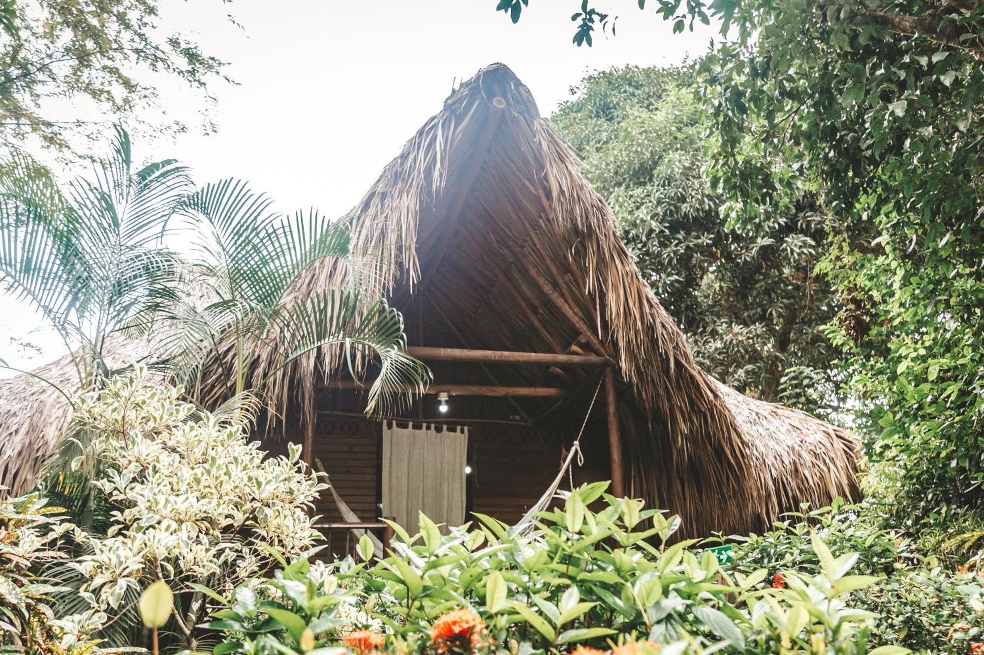Cabana Wiwa Tayrona لوس نارانخوس المظهر الخارجي الصورة
