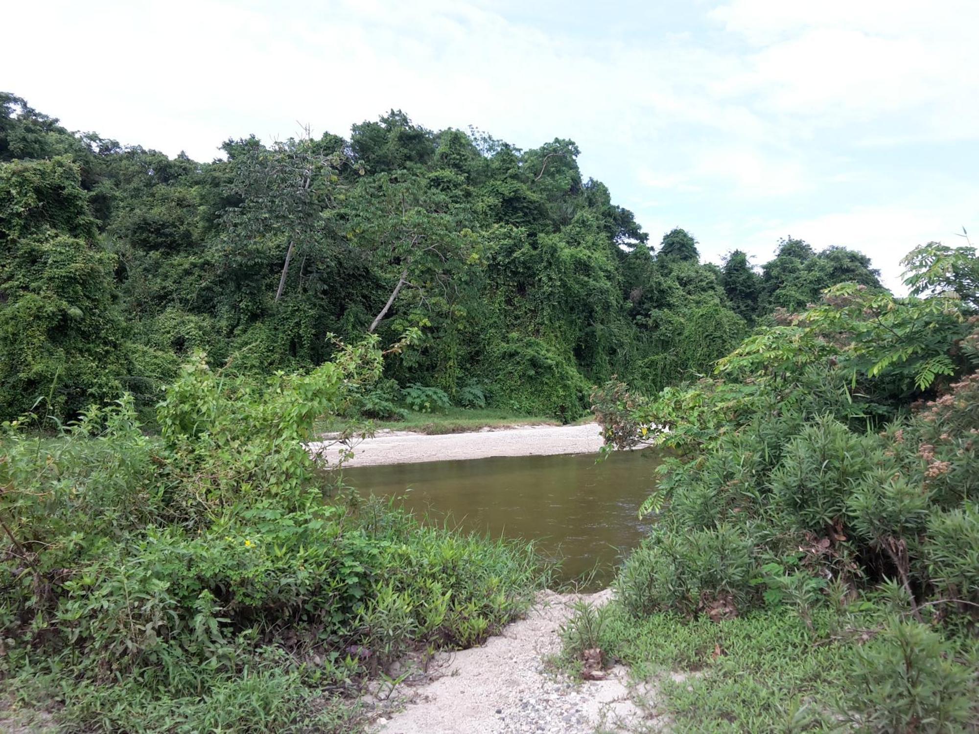 Cabana Wiwa Tayrona لوس نارانخوس المظهر الخارجي الصورة