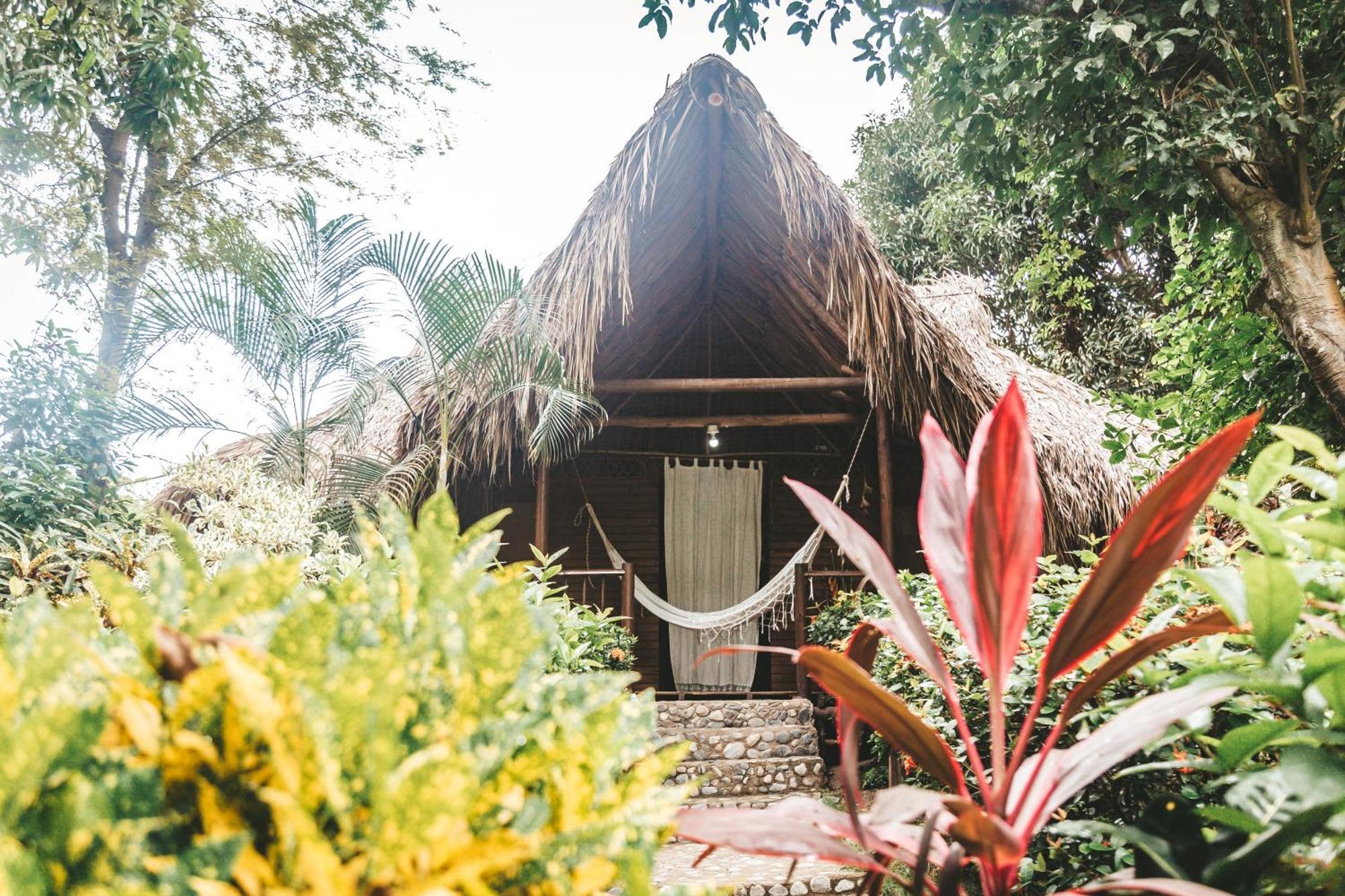 Cabana Wiwa Tayrona لوس نارانخوس المظهر الخارجي الصورة