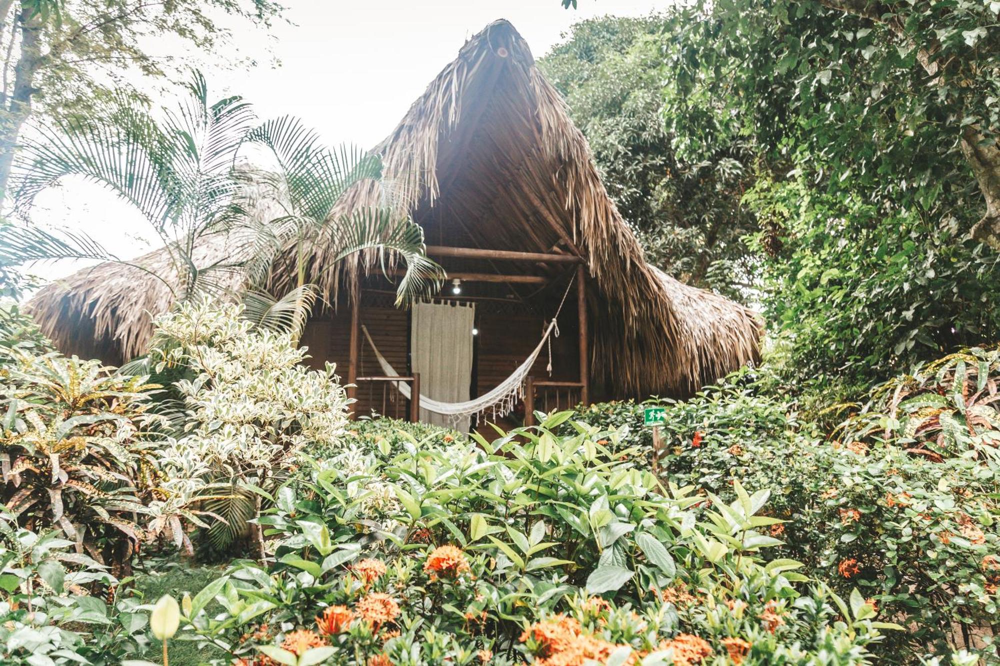 Cabana Wiwa Tayrona لوس نارانخوس المظهر الخارجي الصورة